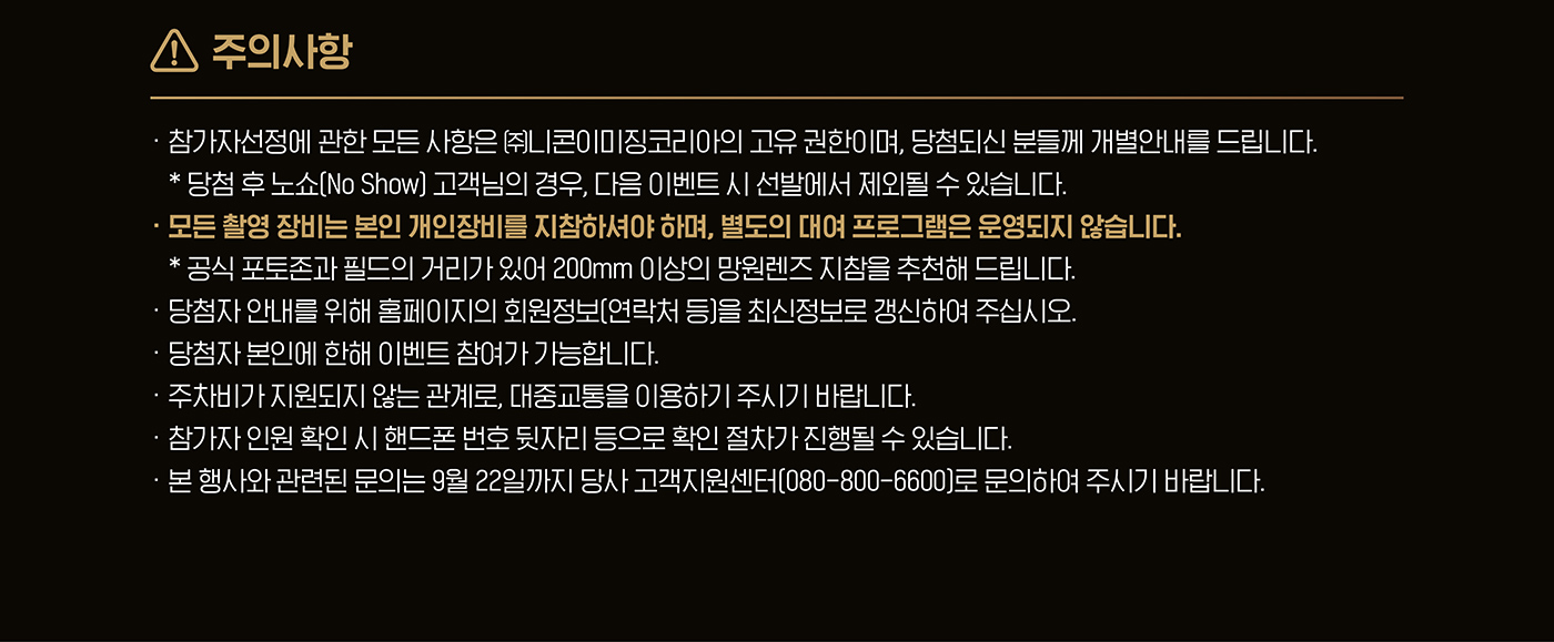 컨텐츠