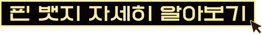 핀 뱃지 자세히 알아보기