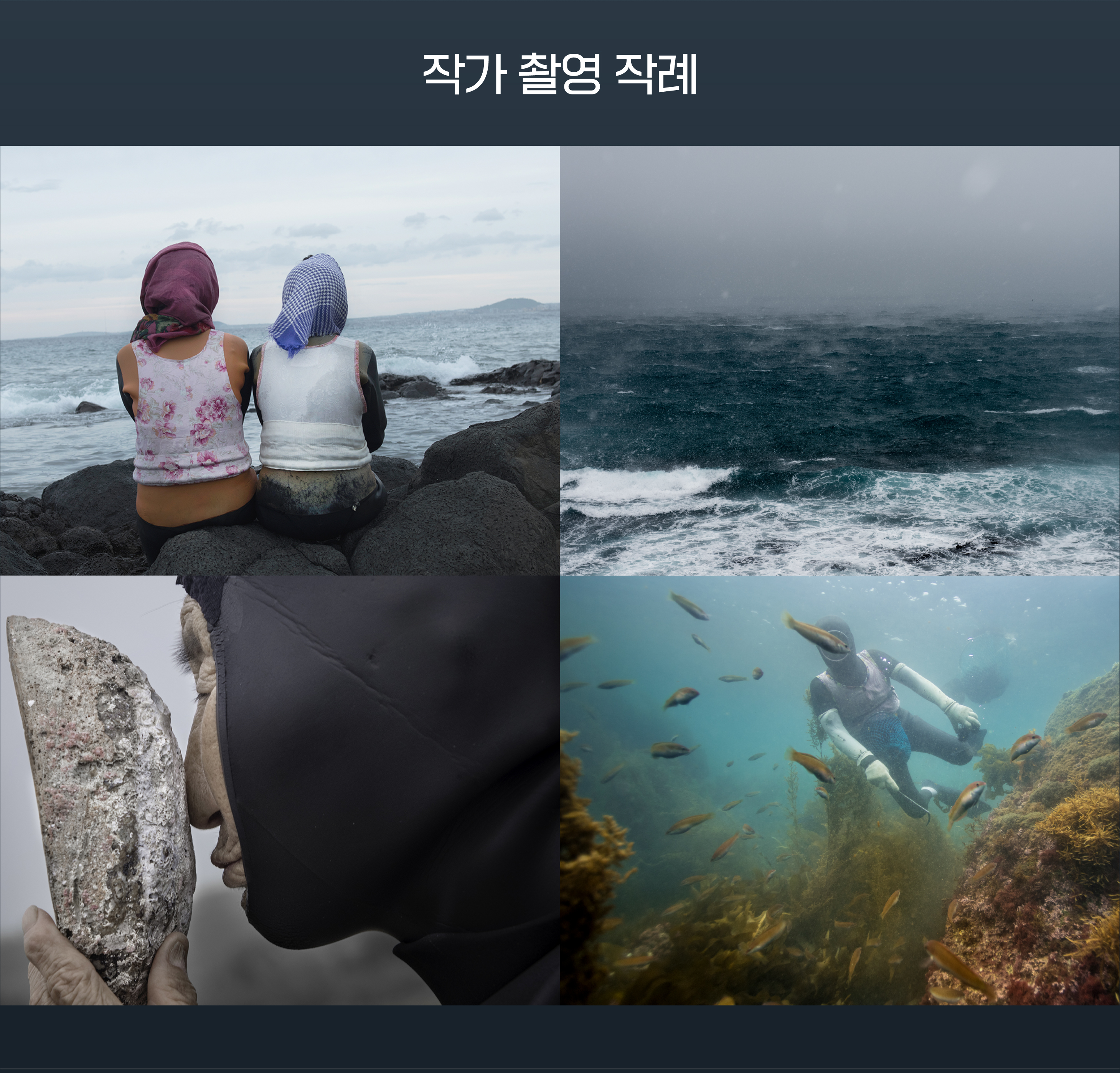 니콘스쿨세미나