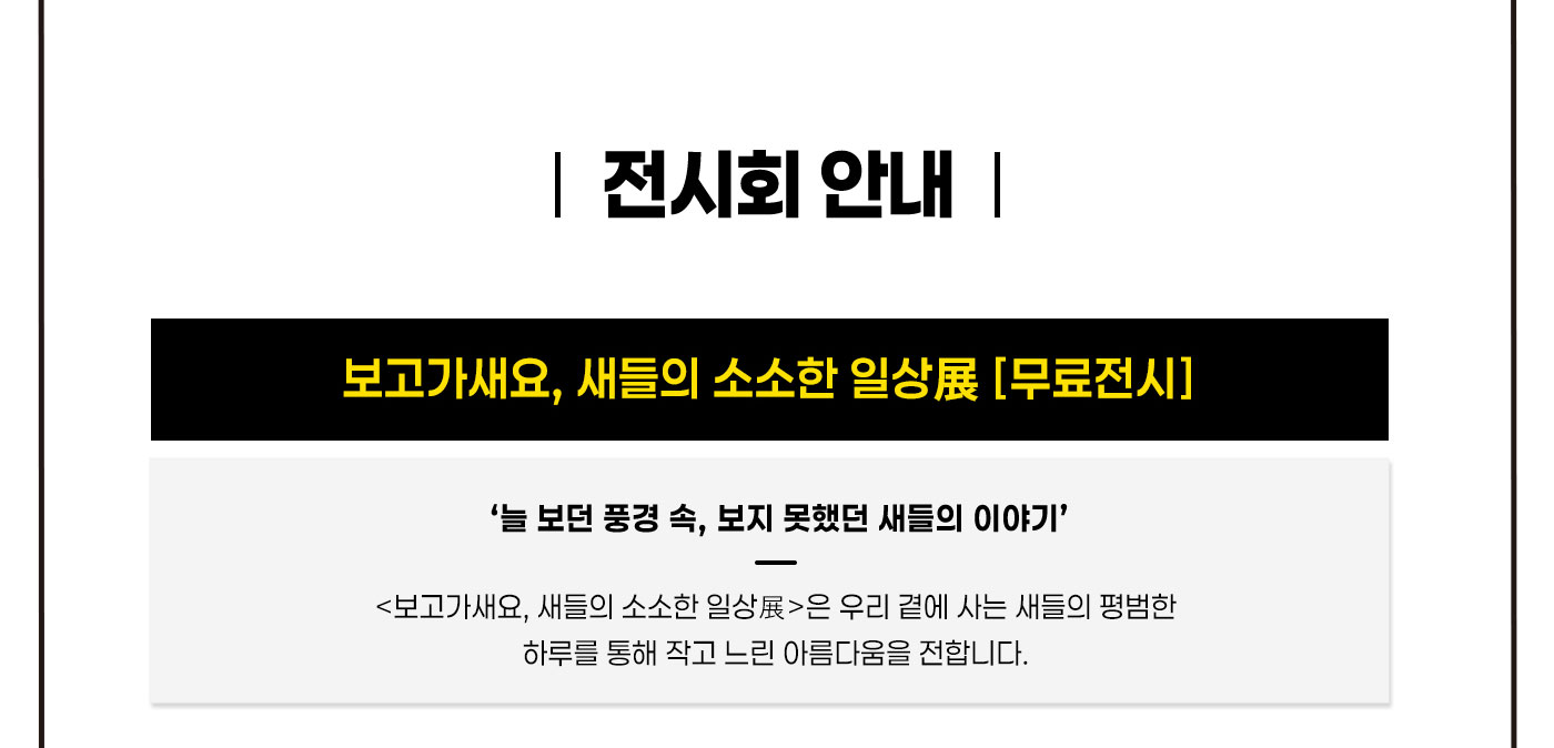 새들의 소소한 일상전