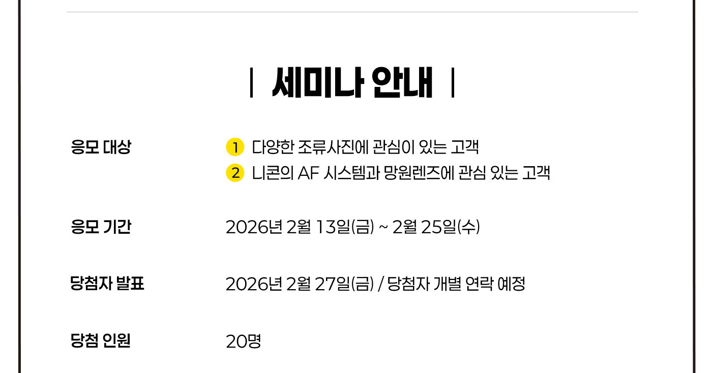 새들의 소소한 일상전