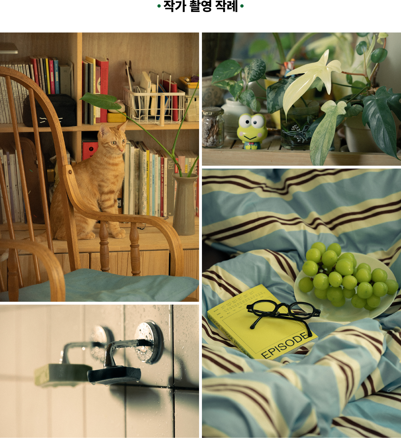 니콘스쿨세미나