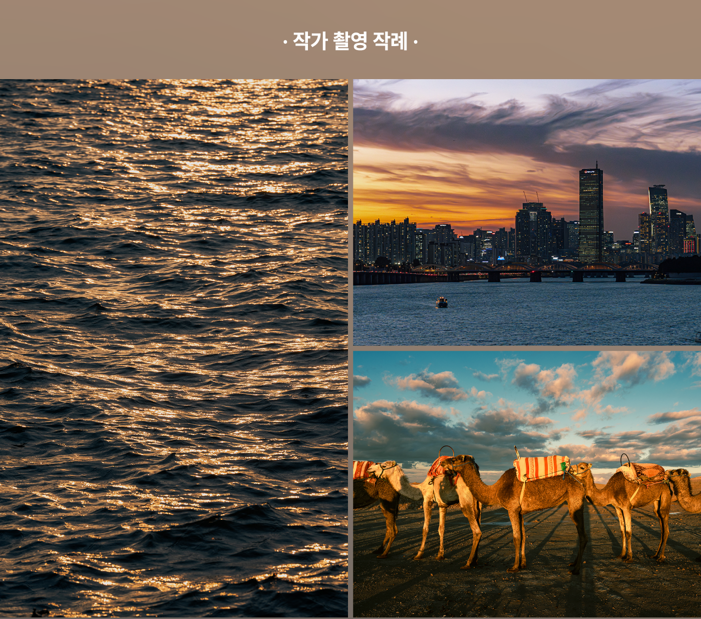 니콘스쿨세미나