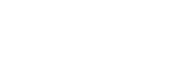 D5 100주년 에디션