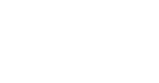 D5 100주년 에디션