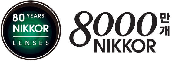 80YEARS NIKKOR LENSES 8000万本 NIKKOR