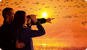 광시야각 타입은 넓은 범위를 볼 수 있다!