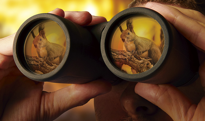 쌍안경으로 펼쳐지는 세계