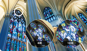 경쟁률은 숲에서는 8~10배, 호소나 갯벌에서는 8~12배가 추천!