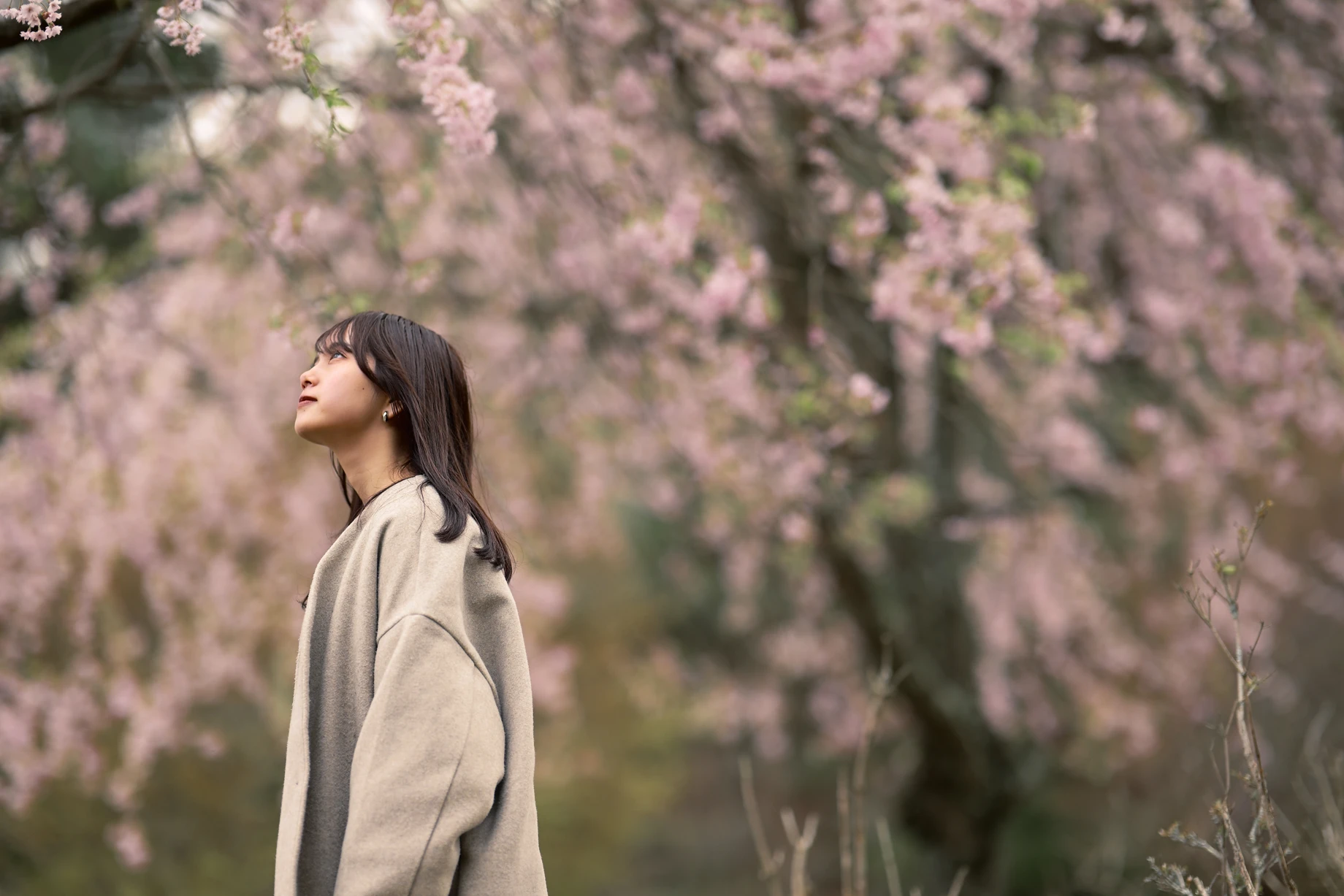 Boho Look 필터