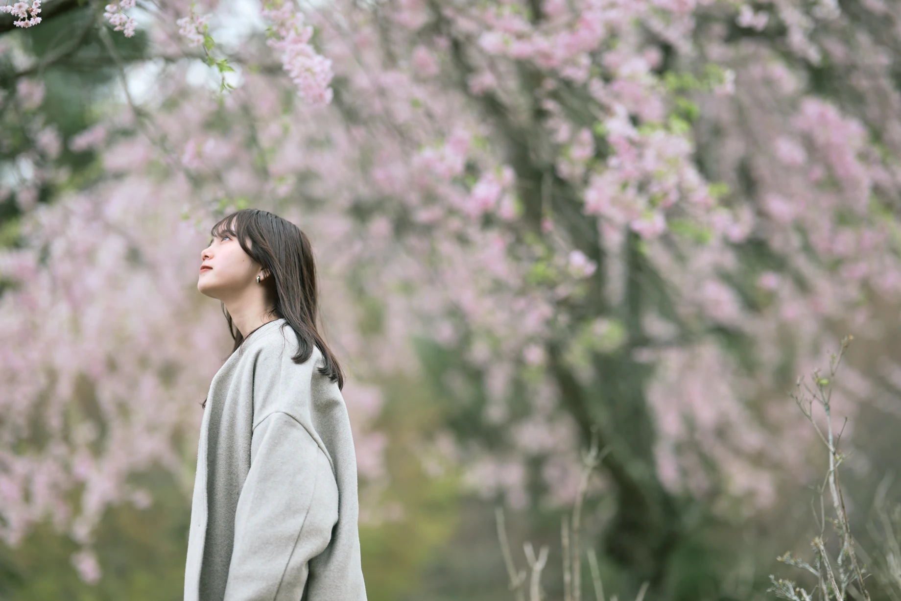 Clear Portrait 필터