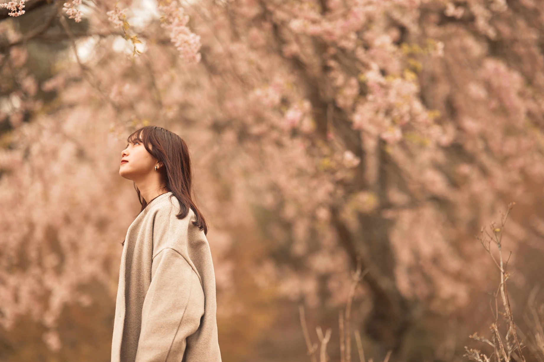 Golden Dusk 필터