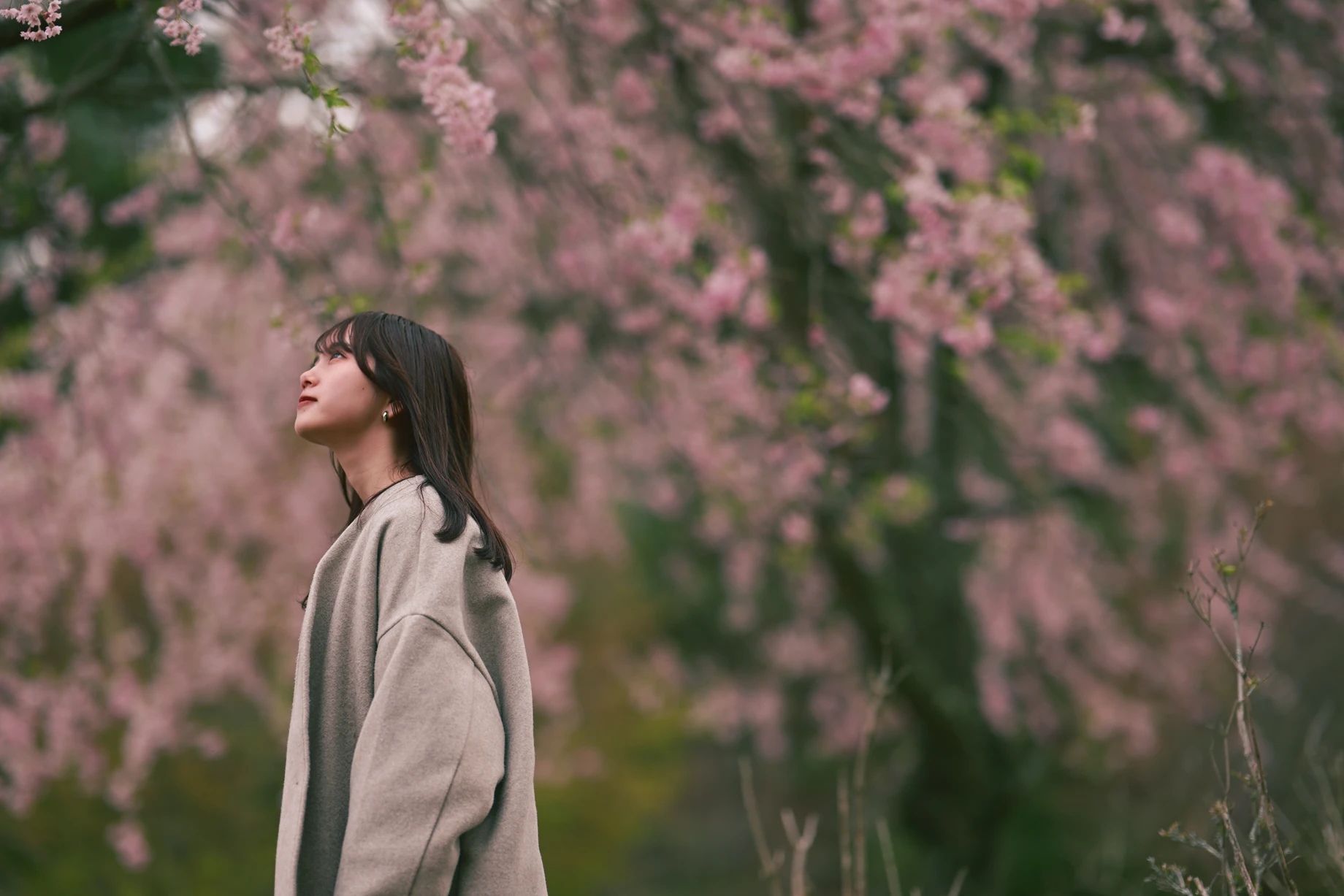 Vintage Mellow 필터