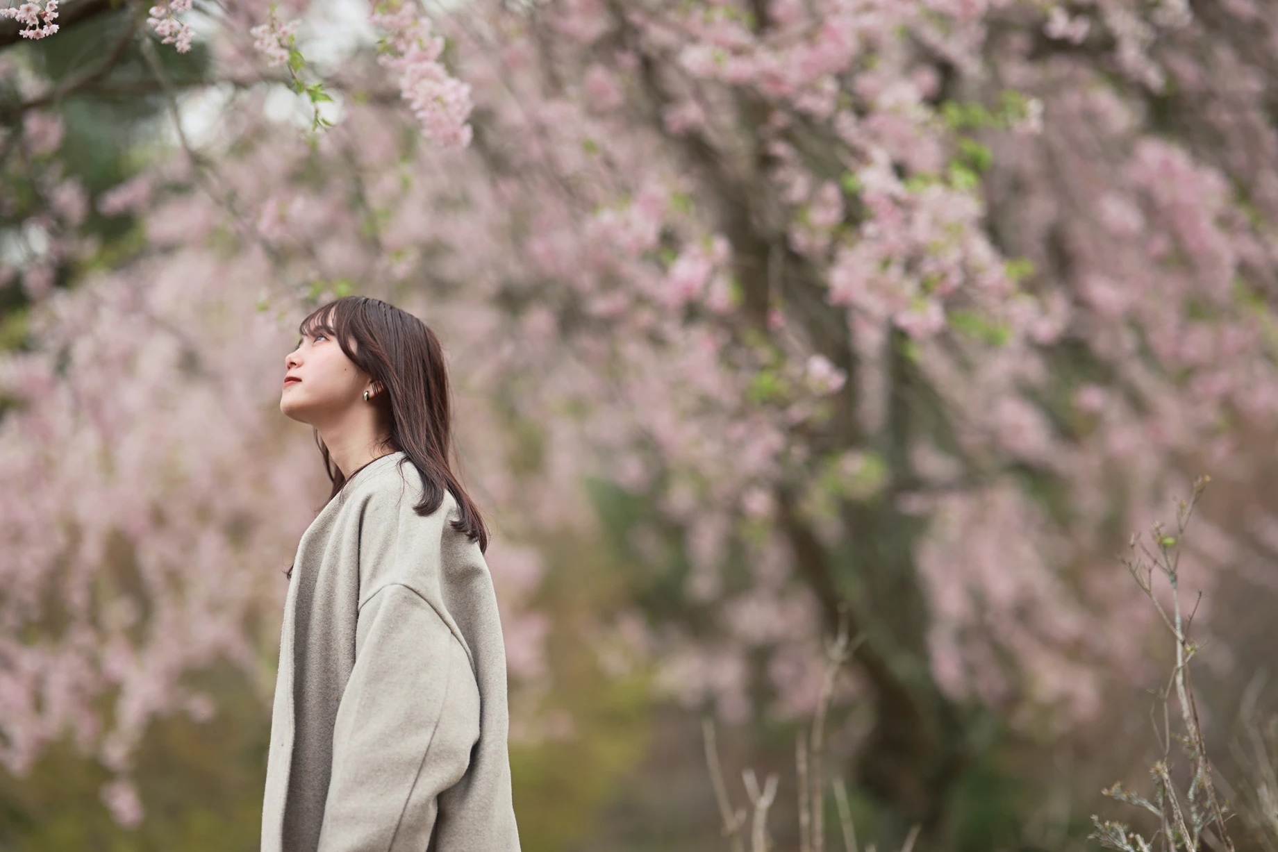 Warm Portrait 필터
