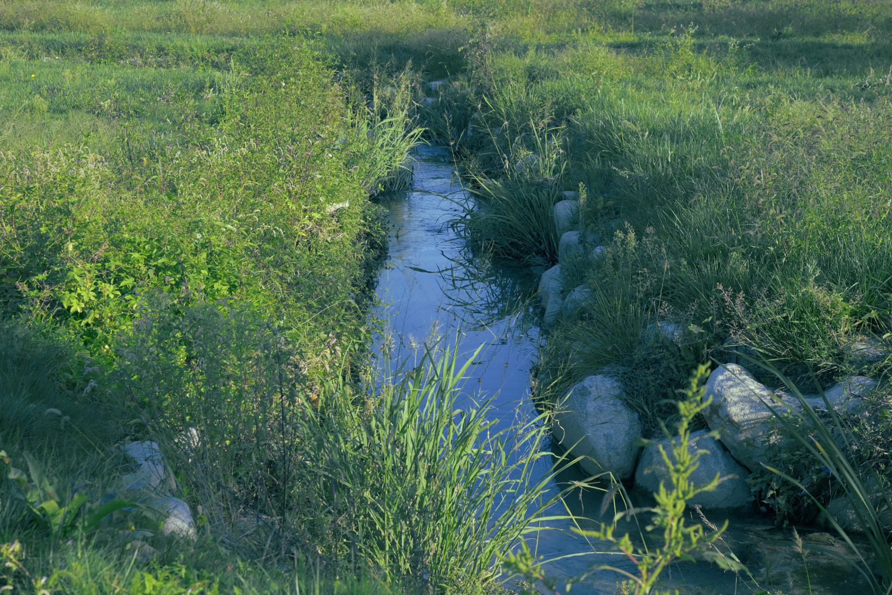 Negative Film Yellow Green 필터