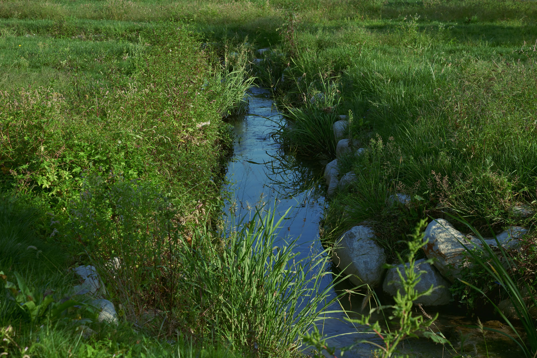 Summertime Shine 필터