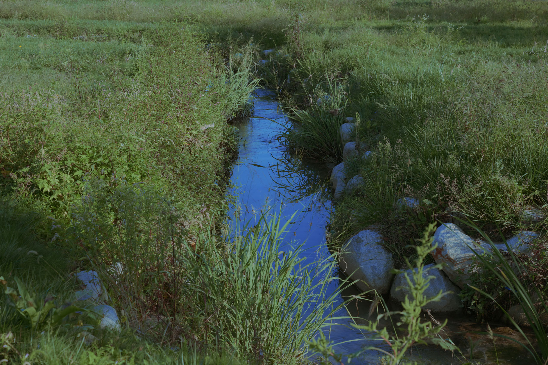 Sunkissed Cool 필터