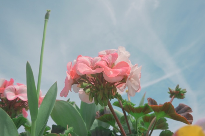 작례05