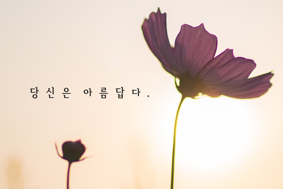 작품예시1