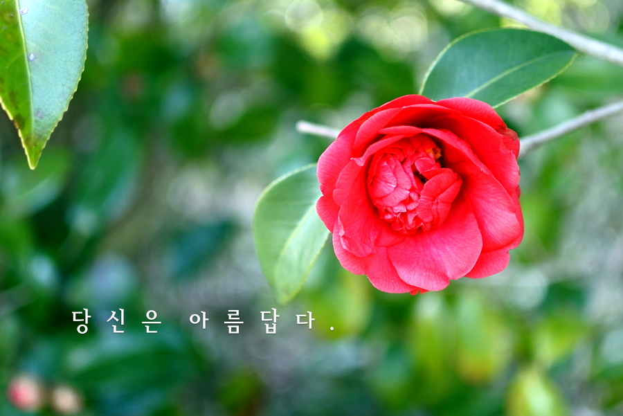 작품예시2