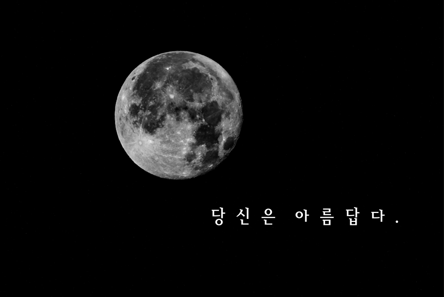 작품예시5
