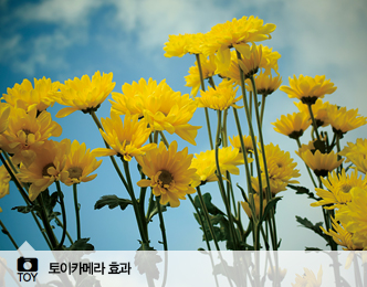 토이카메라 효과 이미지