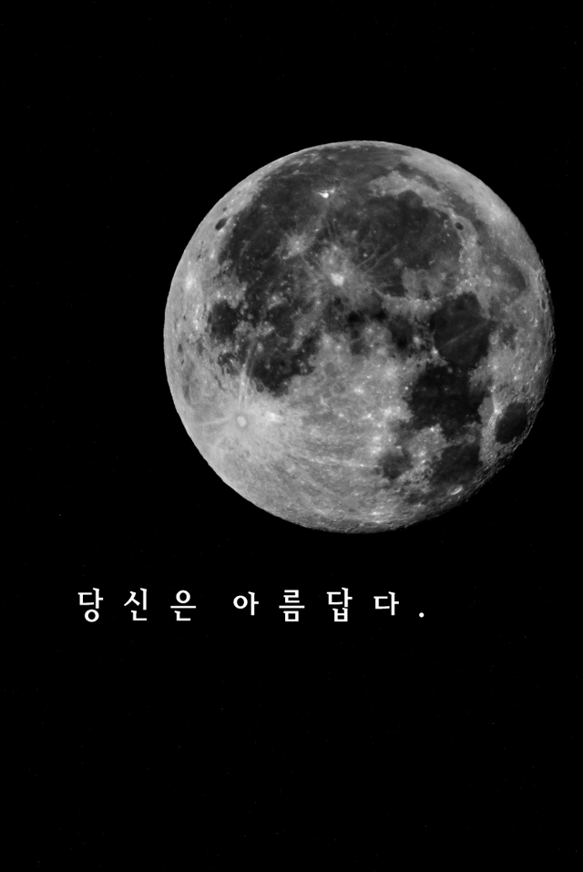 모델이미지5