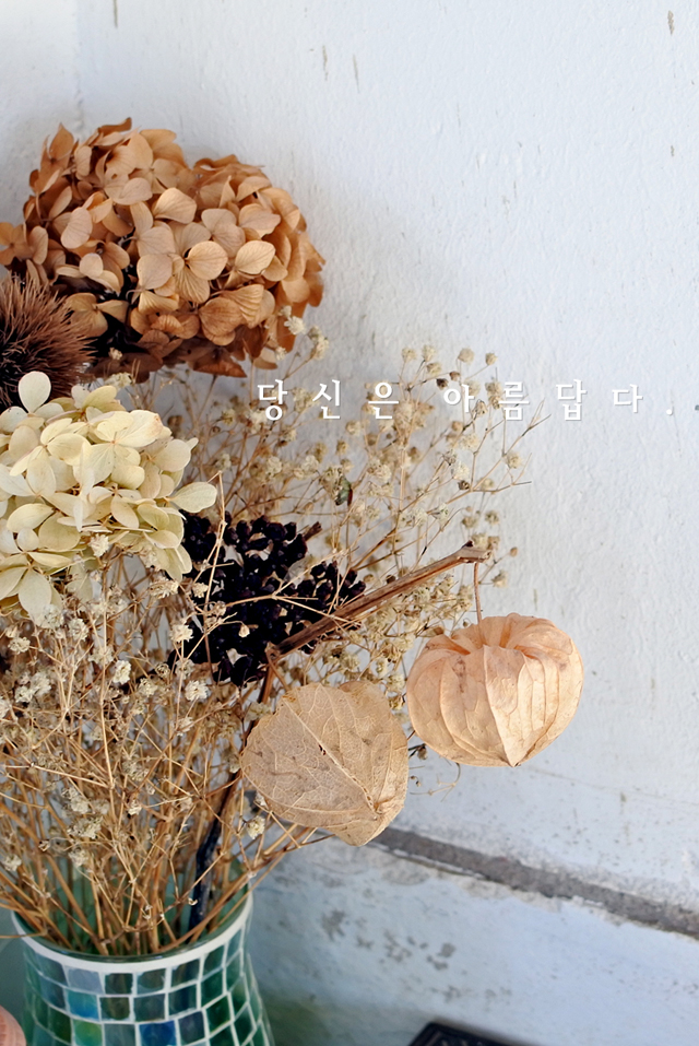 모델이미지9