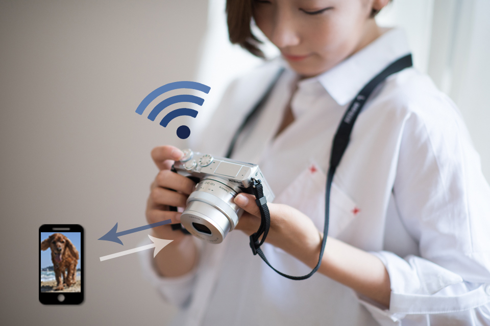 Wi-Fi 기능으로 바로 공유 이미지1