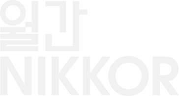 월간 nikkor 로고