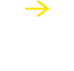 Line Up