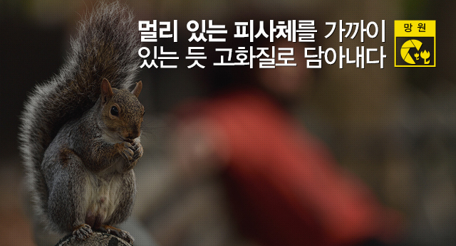 멀리 있는 피사체를 가까이 있는 듯 고화질로 담아내다.