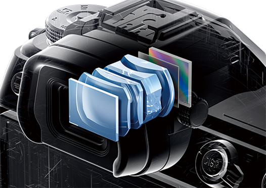 EVF 구조