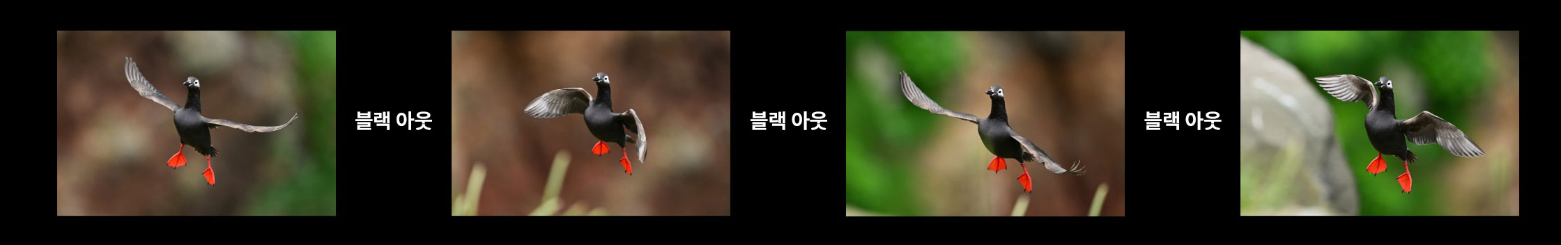 Z5II 파인더 이미지
