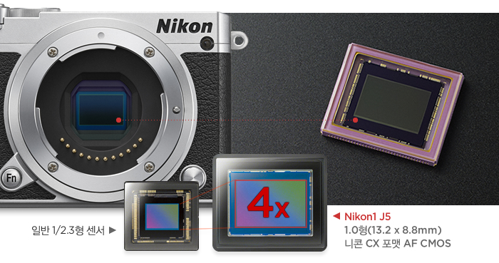 일반 1/2.3형 센서, Nikon1 J5 1.0형(13.2 x 8.8mm) 니콘 CX 포맷 AF CMOS