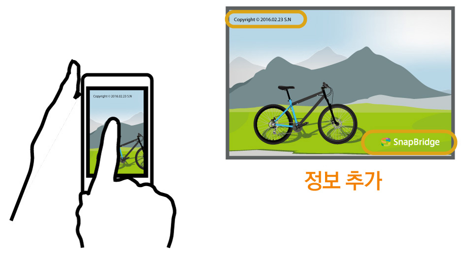 작례 이미지