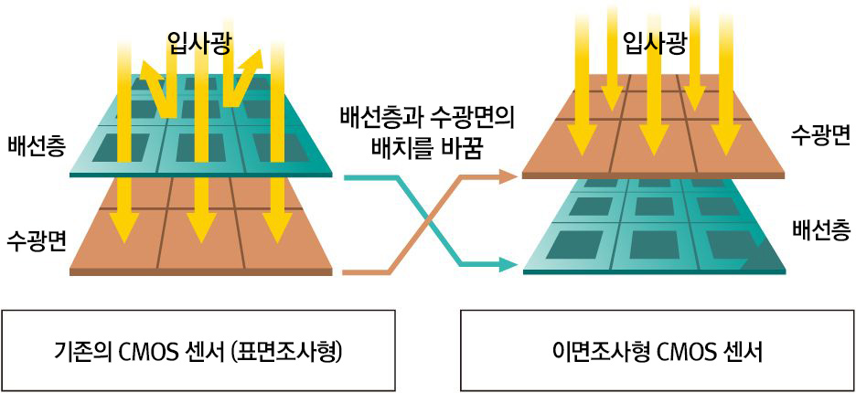 작례 이미지