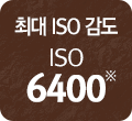 최고 ISO 감도 ISO 6400※
