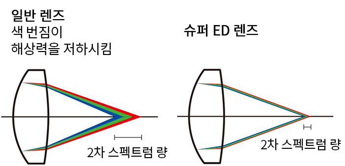 촬영 예시