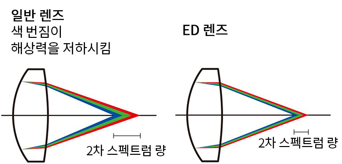 촬영 예시