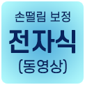 전자식(동영상)
