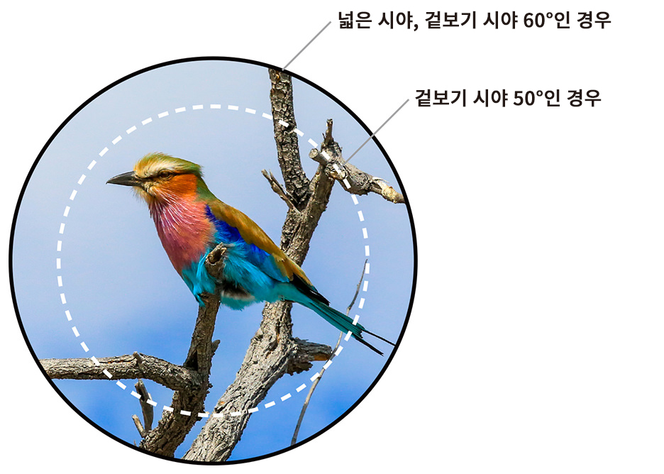 이미지1