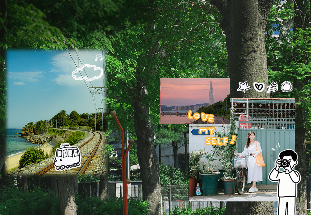 #니콘 일상 기록