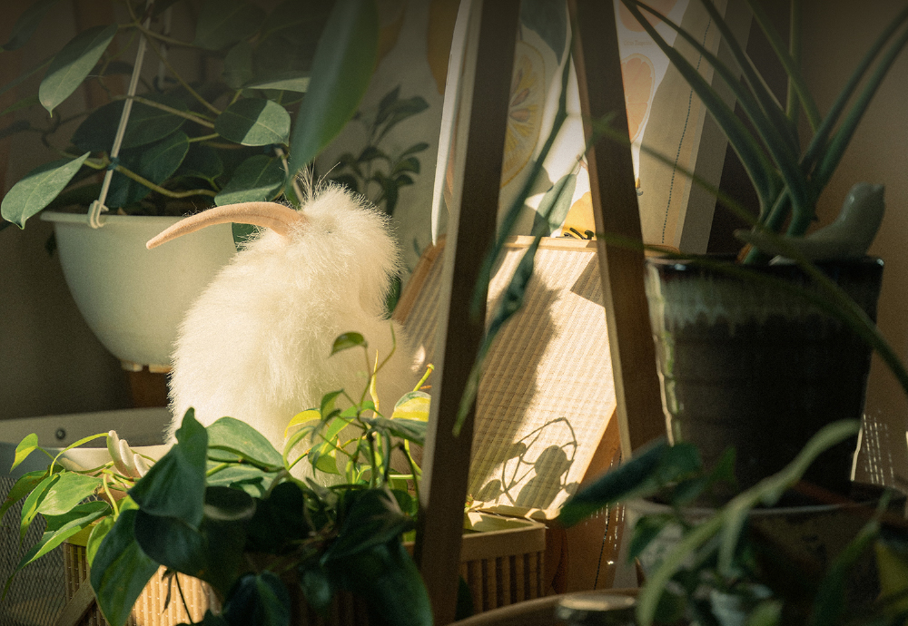 니콘스쿨, 홈 인테리어 촬영 세미나