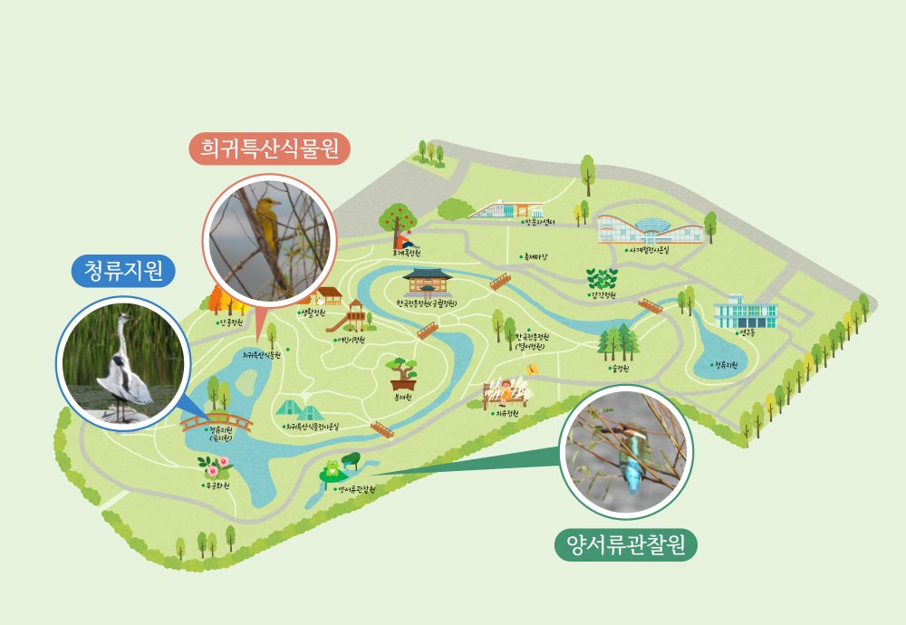 니콘 탐조 피크닉