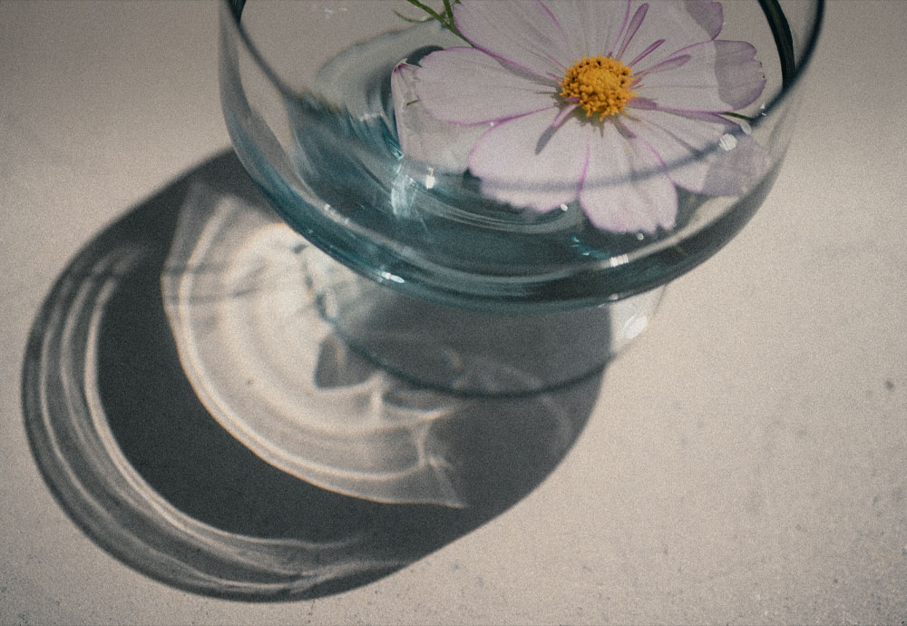 Zf <필름 그레인> 다운로드 개시