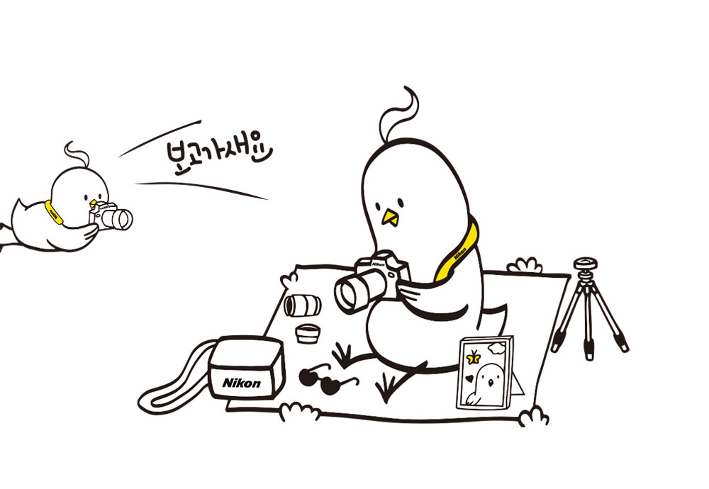 새들의 소소한 일상전 & 세미나