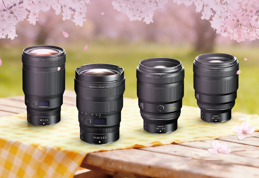 Z렌즈 15종 봄 캐시백 프로모션