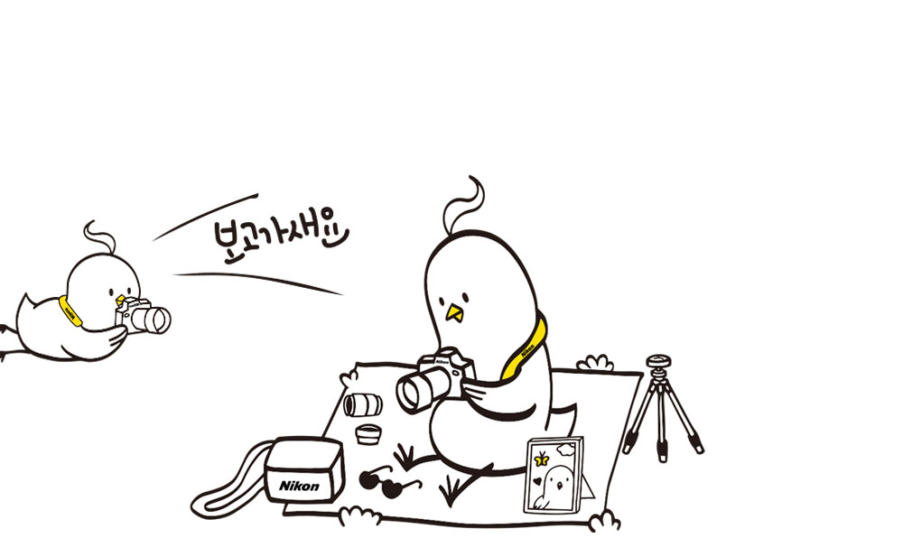 새들의 소소한 일상전 & 세미나