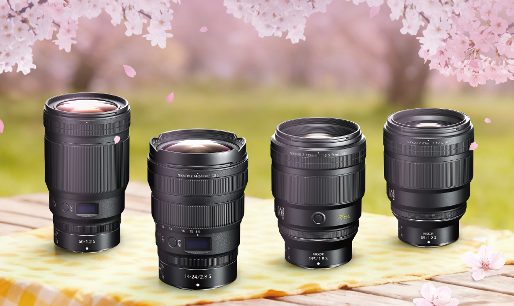 Z렌즈 15종 봄 캐시백 프로모션